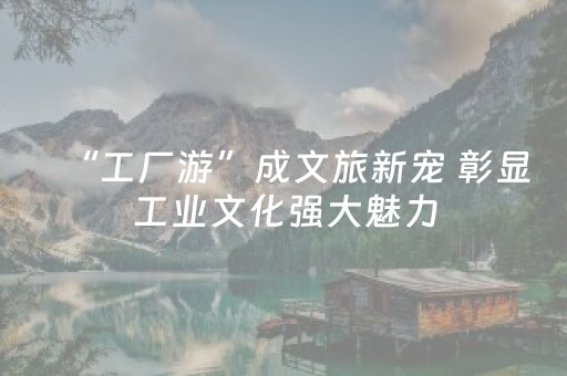 “工厂游”成文旅新宠 彰显工业文化强大魅力