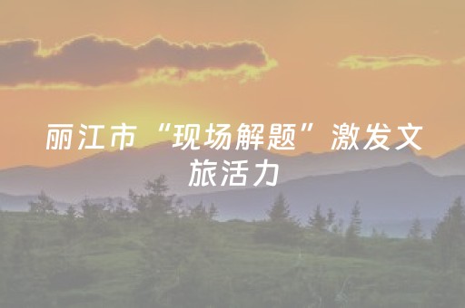 丽江市“现场解题”激发文旅活力
