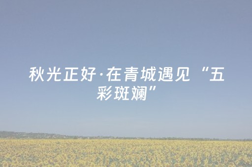 秋光正好·在青城遇见“五彩斑斓”