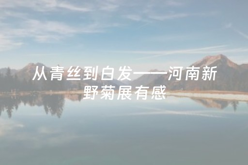 三亚 最美的风景是人！2025年“发现最美三亚旅游人”选树活动报名启动