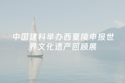 中国建科举办西夏陵申报世界文化遗产回顾展