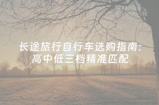 长途旅行自行车选购指南：高中低三档精准匹配，让每段征途都安心