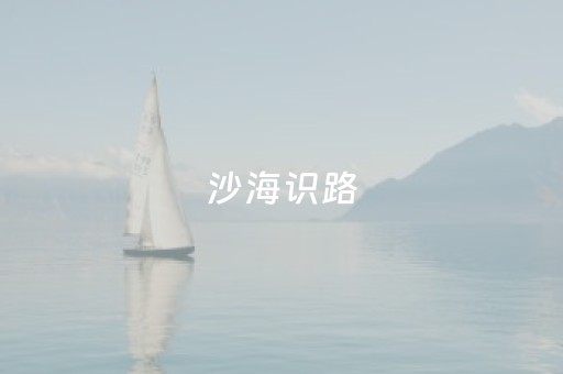 沙海识路