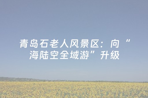 青岛石老人风景区：向“海陆空全域游”升级