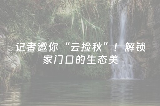记者邀你“云捡秋”！解锁家门口的生态美