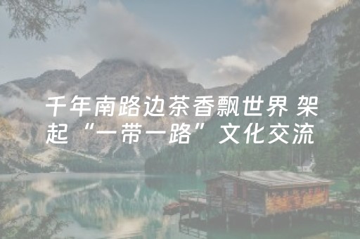 千年南路边茶香飘世界 架起“一带一路”文化交流之桥