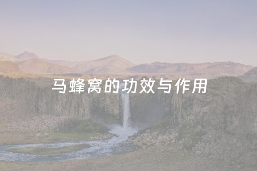 马蜂窝的功效与作用（中药马蜂窝的功效与作用）
