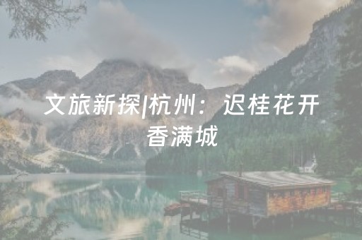 文旅新探|杭州：迟桂花开香满城