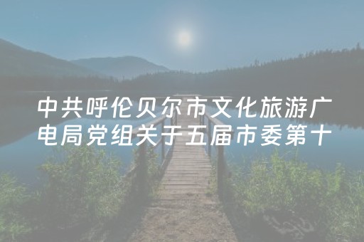 中共呼伦贝尔市文化旅游广电局党组关于五届市委第十轮巡察整改进展情况的通报