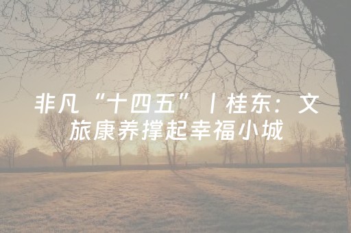 非凡“十四五”丨桂东：文旅康养撑起幸福小城