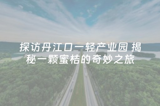 探访丹江口一轻产业园 揭秘一颗蜜桔的奇妙之旅