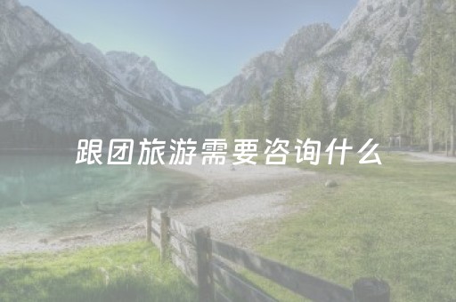 跟团旅游需要咨询什么（跟团旅游需要咨询什么部门）