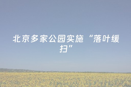 北京多家公园实施“落叶缓扫”，最大限度保留最美秋色