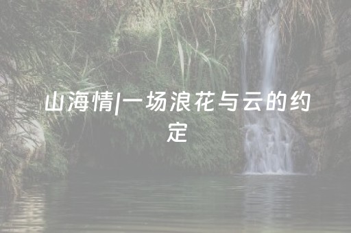 山海情|一场浪花与云的约定