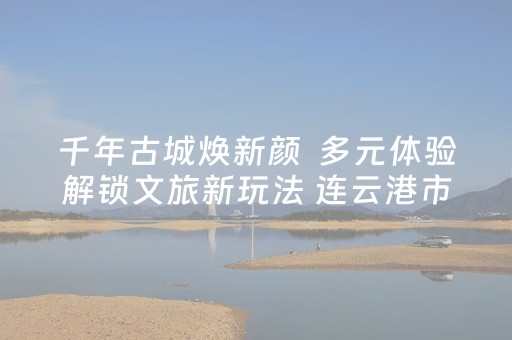 千年古城焕新颜  多元体验解锁文旅新玩法 连云港市海州区以“文旅+”战略激活全域旅游新动能