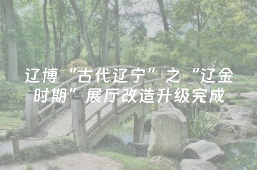 辽博“古代辽宁”之“辽金时期”展厅改造升级完成