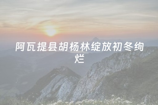 阿瓦提县胡杨林绽放初冬绚烂