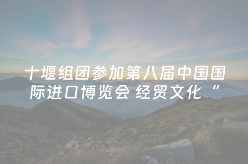 十堰组团参加第八届中国国际进口博览会 经贸文化“双丰收”