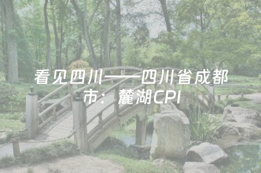 看见四川——四川省成都市：麓湖CPI