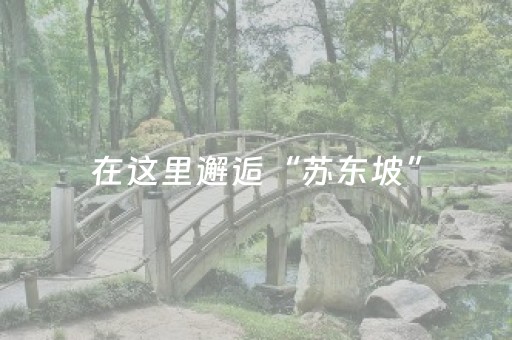 在这里邂逅“苏东坡”