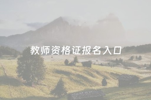 教师资格证报名入口（教师资格证报名入口链接）
