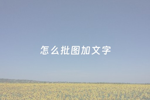 怎么批图加文字（如何批图在图片上加图片）