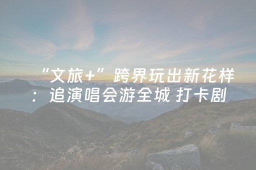 “文旅+”跨界玩出新花样：追演唱会游全城 打卡剧综取景地