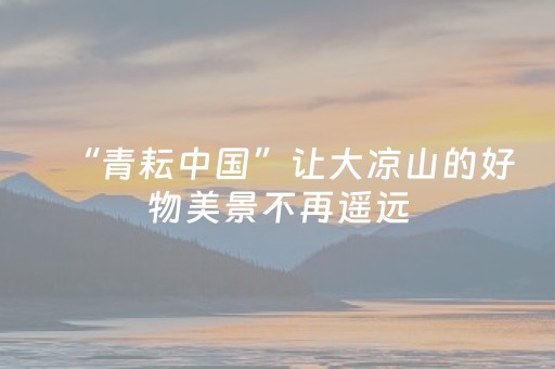 “青耘中国”让大凉山的好物美景不再遥远
