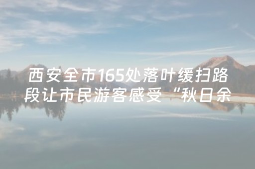 西安全市165处落叶缓扫路段让市民游客感受“秋日余韵”