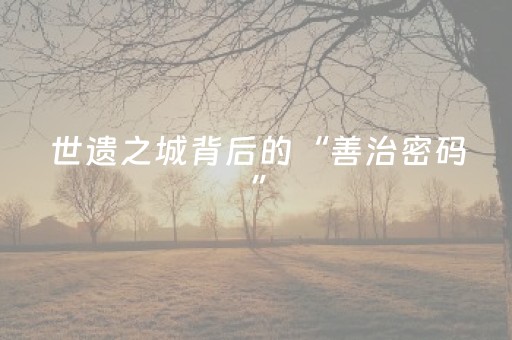 世遗之城背后的“善治密码”