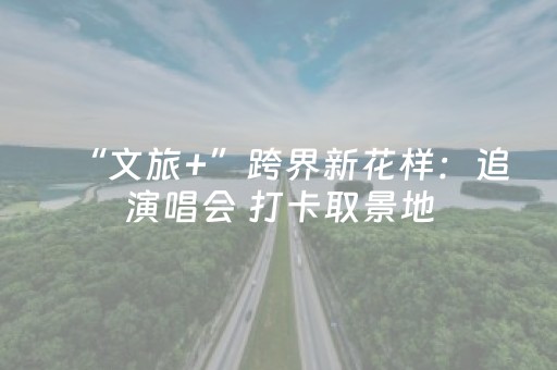 “文旅+”跨界新花样：追演唱会 打卡取景地