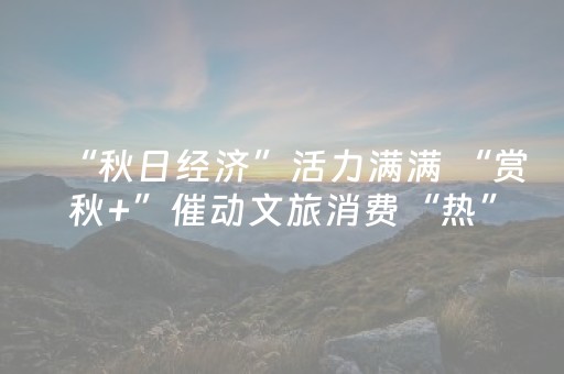 “秋日经济”活力满满 “赏秋+”催动文旅消费“热”力四射