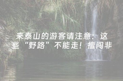 来泰山的游客请注意：这些“野路”不能走！擅闯非开放区后果自负