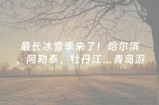 最长冰雪季来了！哈尔滨、阿勒泰、牡丹江…青岛游客已出动