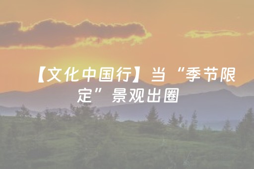【文化中国行】当“季节限定”景观出圈，名人故居如何走向“四季常红”？