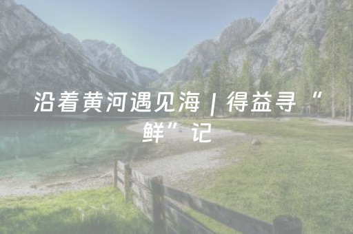 沿着黄河遇见海｜得益寻“鲜”记