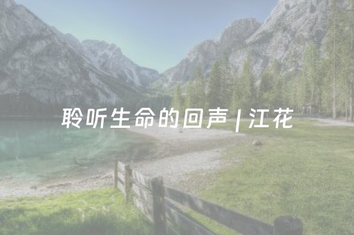 聆听生命的回声 | 江花