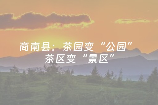 商南县：茶园变“公园” 茶区变“景区”