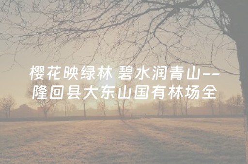 樱花映绿林 碧水润青山--隆回县大东山国有林场全力打造秀美林场