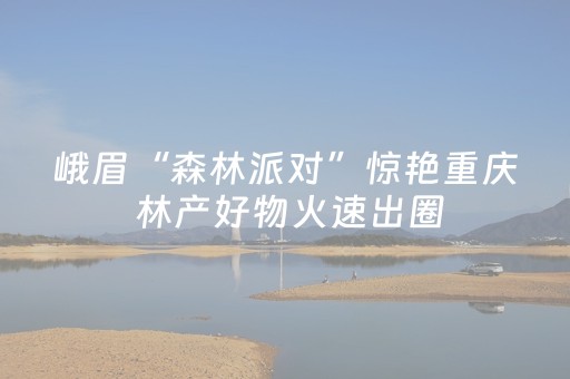 峨眉“森林派对”惊艳重庆 林产好物火速出圈