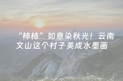 “柿柿”如意染秋光！云南文山这个村子美成水墨画