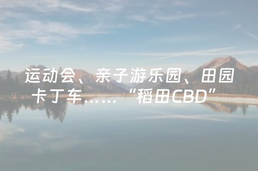运动会、亲子游乐园、田园卡丁车……“稻田CBD” 和你来场秋日约会