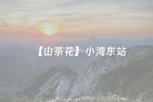 【山茶花】小湾东站