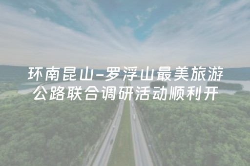 环南昆山-罗浮山最美旅游公路联合调研活动顺利开展