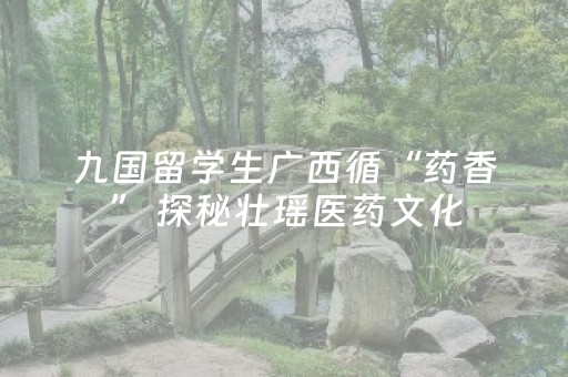 九国留学生广西循“药香” 探秘壮瑶医药文化