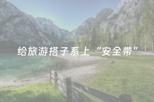 给旅游搭子系上“安全带”