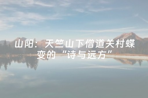 山阳：天竺山下僧道关村蝶变的“诗与远方”