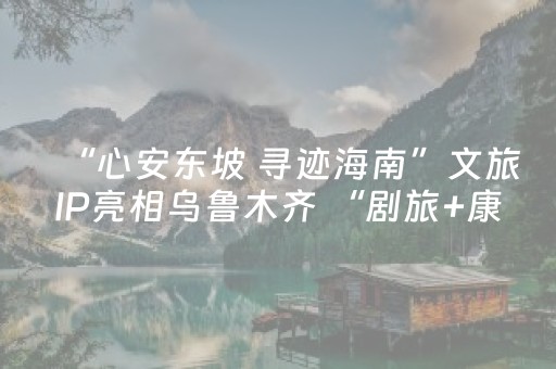 “心安东坡 寻迹海南”文旅IP亮相乌鲁木齐 “剧旅+康养”解锁东坡文化新场景