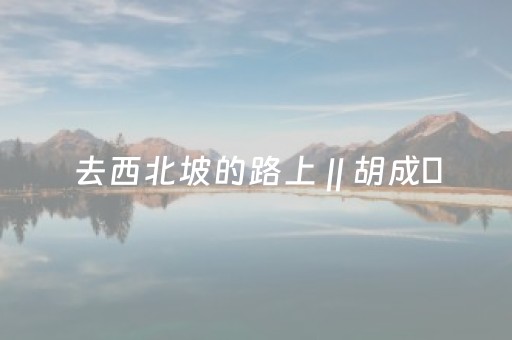 去西北坡的路上 || 胡成冮
