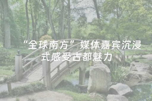 “全球南方”媒体嘉宾沉浸式感受古都魅力